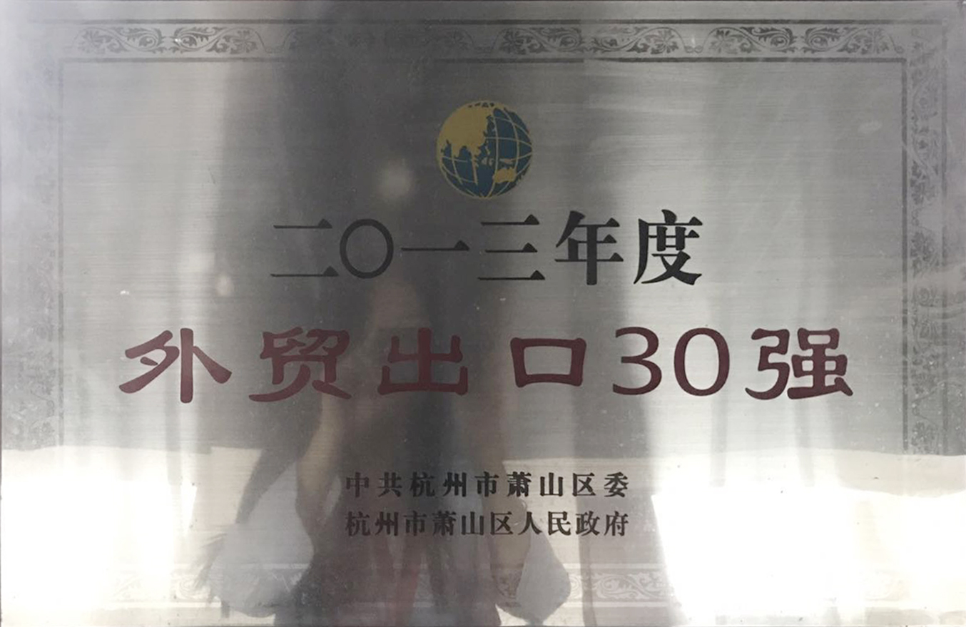 2013年度“外貿(mào)出口30強”獎牌