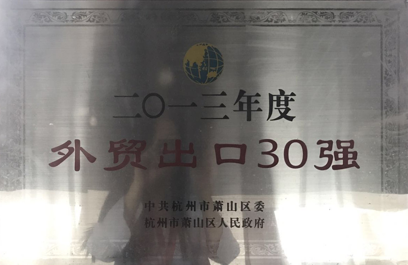 2013年度“外貿(mào)出口30強”獎牌