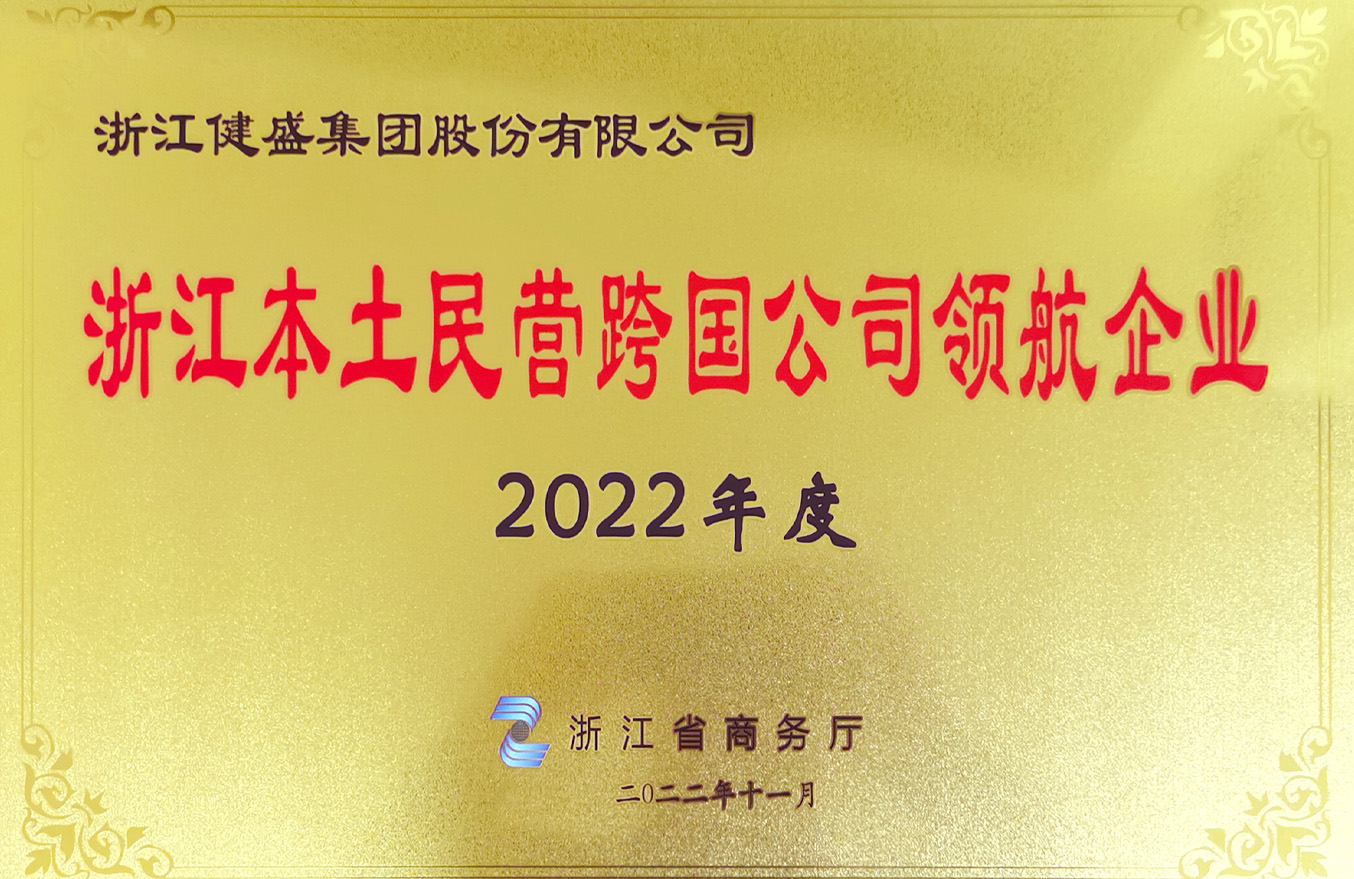 2022 浙江本土民營(yíng)跨國(guó)公司領(lǐng)航企業(yè)