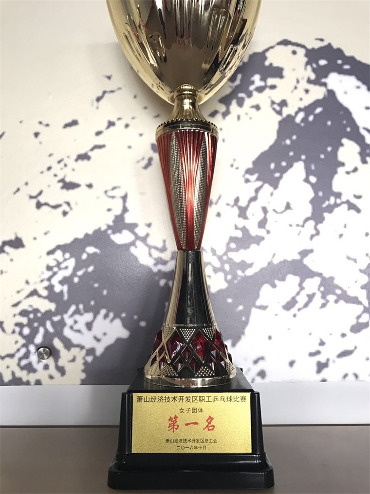 2016蕭山經(jīng)濟(jì)技術(shù)開發(fā)區(qū)職工乒乓球比賽女子團(tuán)體第一名