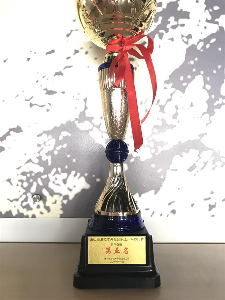 2016蕭山經(jīng)濟(jì)技術(shù)開發(fā)區(qū)職工乒乓球比賽男子團(tuán)體第五名