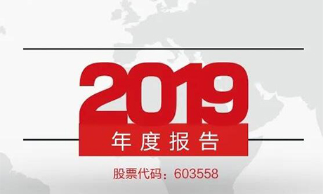 健盛集團(tuán)2019年簡報(bào)